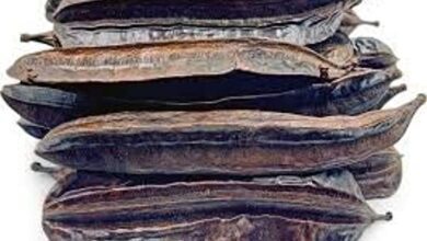 31bF2WJkYgL. AC UL600 SR600600 1