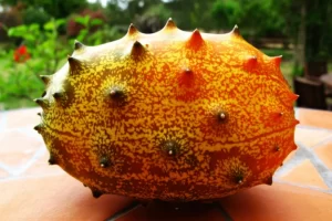 kiwano kavunu