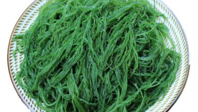 Deniz Yosunu Faydaları ve Zararları