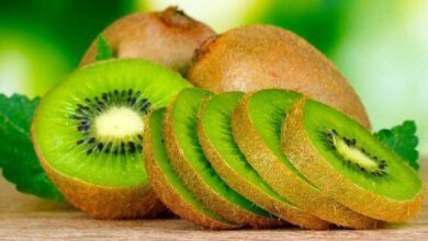 Kivi Meyvesinin Faydaları ve Zararları kivinin faydalari ve zararlari nelerdir