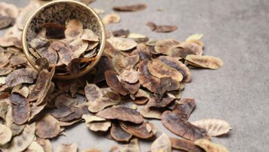 açlık otu faydaları ve zararları