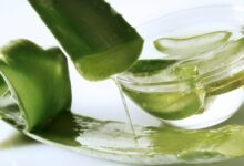Aloe Vera ile Maske Yapımı