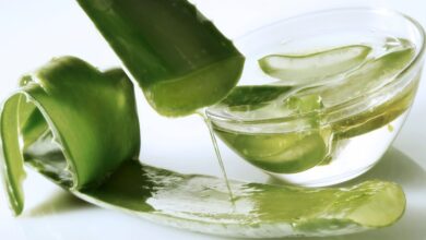 Aloe Vera ile Maske Yapımı Aloe Vera ile Maske Yapımı