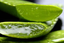 Aloe Vera Yüze Nasıl Kullanılır?