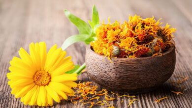 Aynısefa Otunun Faydaları Aynısefa Otunun Faydaları