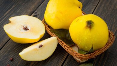 Ayva Çekirdeğinin Yüze Faydaları Ayva Çekirdeğinin Yüze Faydaları