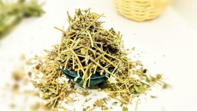 coban cokerten otunun faydalari