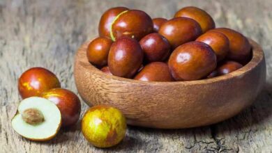 Hünnap-Jujube-Çin Hurması