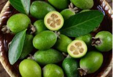 Kaymak Ağacı Feijoa Meyvesinin Faydaları