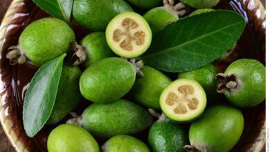 Kaymak Ağacı Feijoa Meyvesinin Faydaları Kaymak Ağacı Feijoa Meyvesinin Faydaları