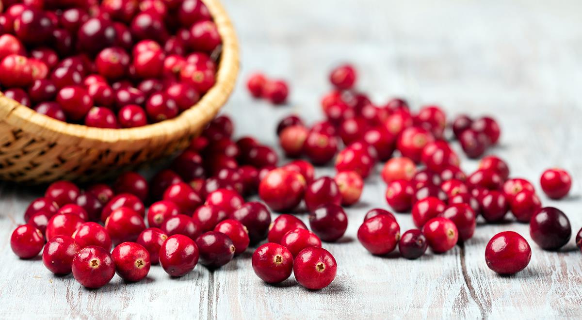 Kızılcık Meyvesinin Faydaları ve Zararları Kızılcık Meyvesinin Faydaları ve Zararları