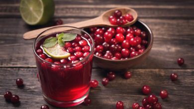 Kızılcık Şerbeti Faydaları