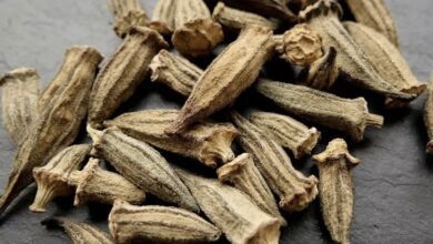 kuru bamyanın faydaları