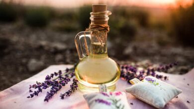 Lavanta Yağı Saça Faydası