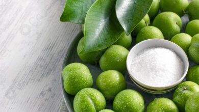 Yeşil Erik Faydaları ve Zararları yeşil erik faydaları ve zararları