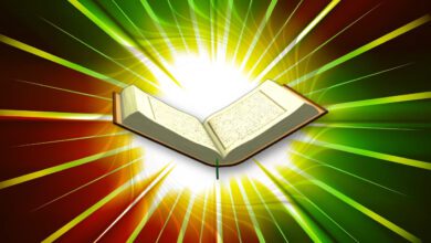 Allah'ın Vahiy Göndermesinin İnsanlara Ne Gibi Faydaları Olmuştur