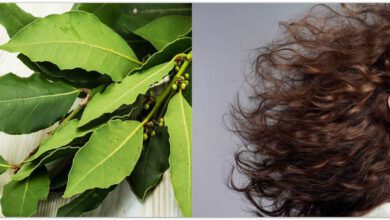 Defne Yaprağının Saça Faydaları Defne Yaprağının Saça Faydaları