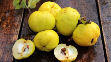 Hamilelikte Ayva Yemenin Bebeğe Faydaları