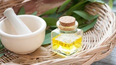 Okaliptus Yağı Faydaları ve Kullanımı Okaliptus Yağı Faydaları ve Kullanımı