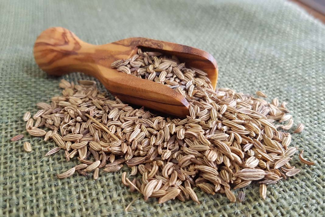 Rezene Bebeklere Faydaları Rezene Bebeklere Faydaları