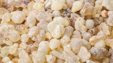 Sandolaz Sakızlı Elma Sirkesi Faydaları