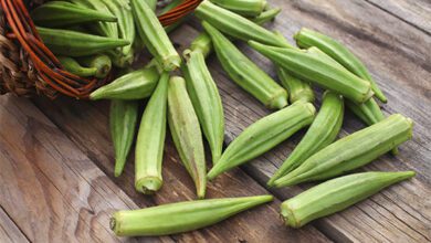 Bamya Faydaları ve Zararları Bamya Faydaları ve Zararları