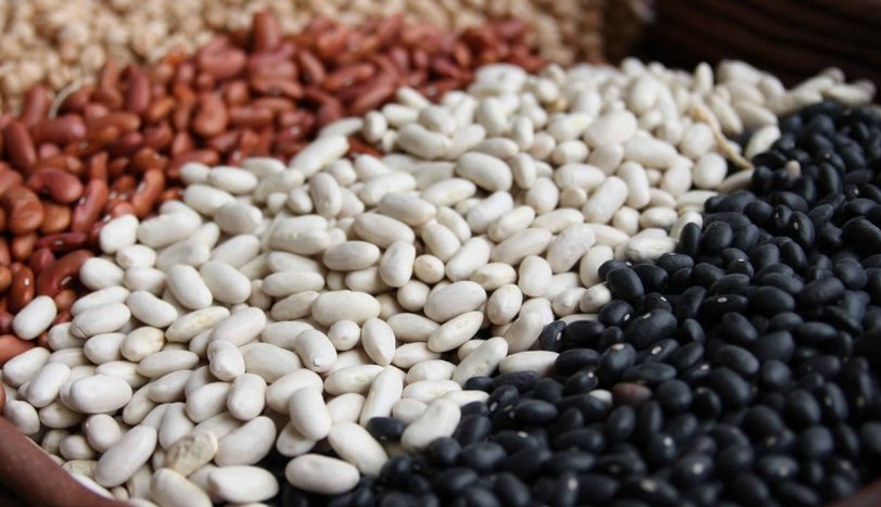 Fasulye Faydaları ve Zararları Fasulye Faydaları ve Zararları