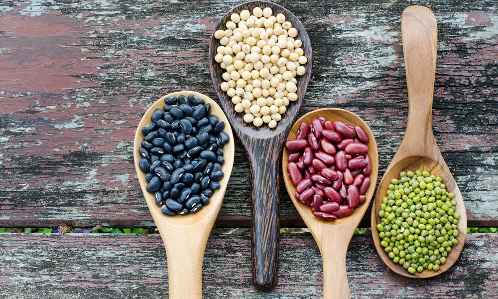 Fasulye Faydaları ve Zararları  