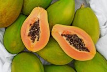 Papaya Faydaları ve Zararları