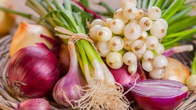 Soğan Faydaları ve Zararları Soğan Faydaları ve Zararları