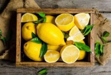 Limon Faydaları ve Zararları