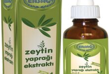 Ersağ zeytin yaprağı ekstraktı faydaları