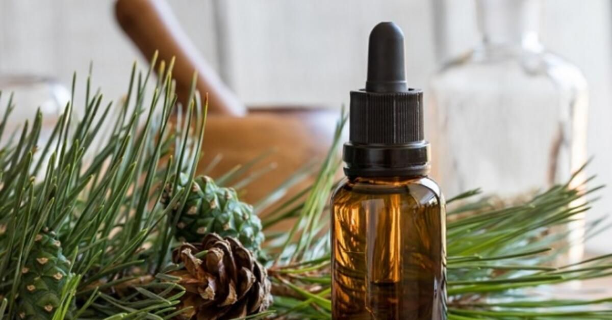 çam terebentin yağının saça faydaları