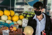 Hamilelikte Kavun Yenir Mi? Faydaları ve Dikkat Edilmesi Gerekenler Hamilelikte Kavun Yenir Mi? Faydaları ve Dikkat Edilmesi Gerekenler