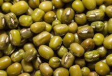 Kuru Fasulye Yemenin Faydaları